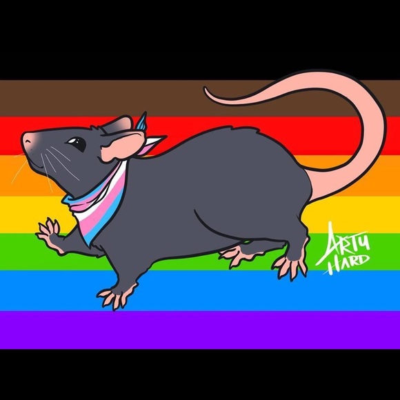 Meet your Posher, Kelly - Picture 1 of 1